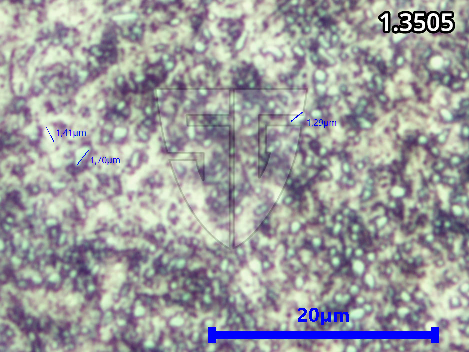 Mikroskopaufnahme 1.3505