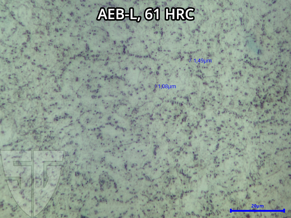 Mikroskopaufnahme AEB-L